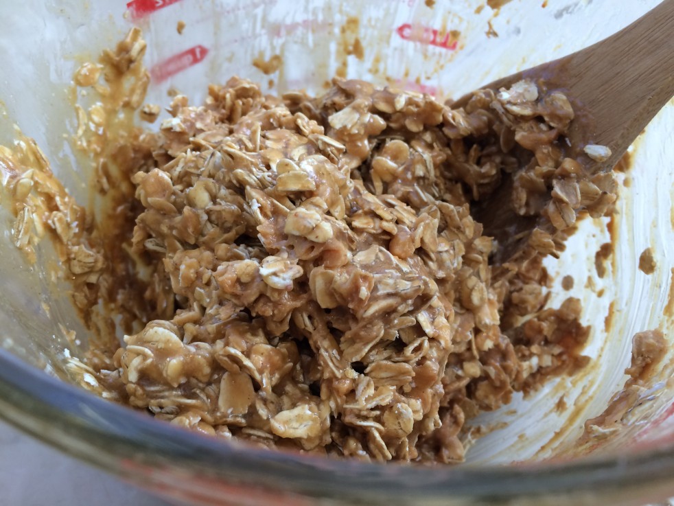 Easy Trek Bars That Are Sweet and Fun To Eat Wonderment