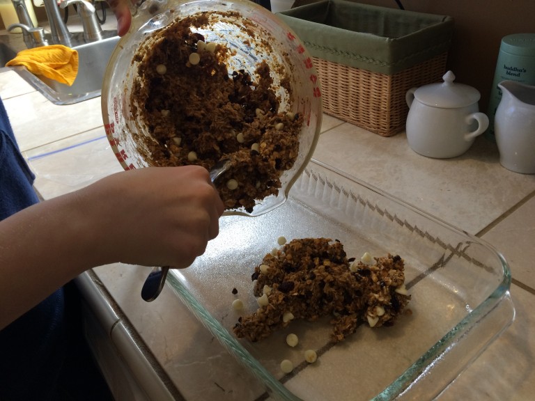 Easy Trek Bars That Are Sweet and Fun To Eat Wonderment