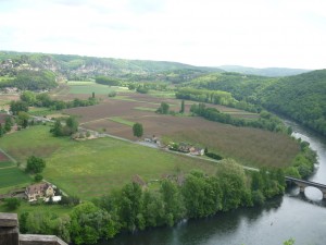 This is one of the views from the castle.