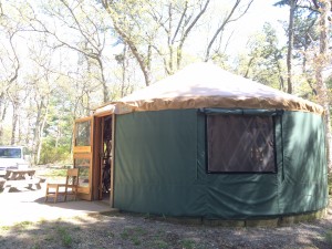More yurt!