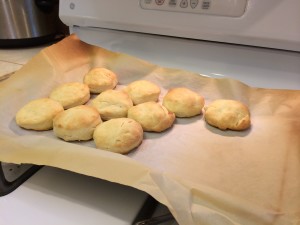 IMG_0555