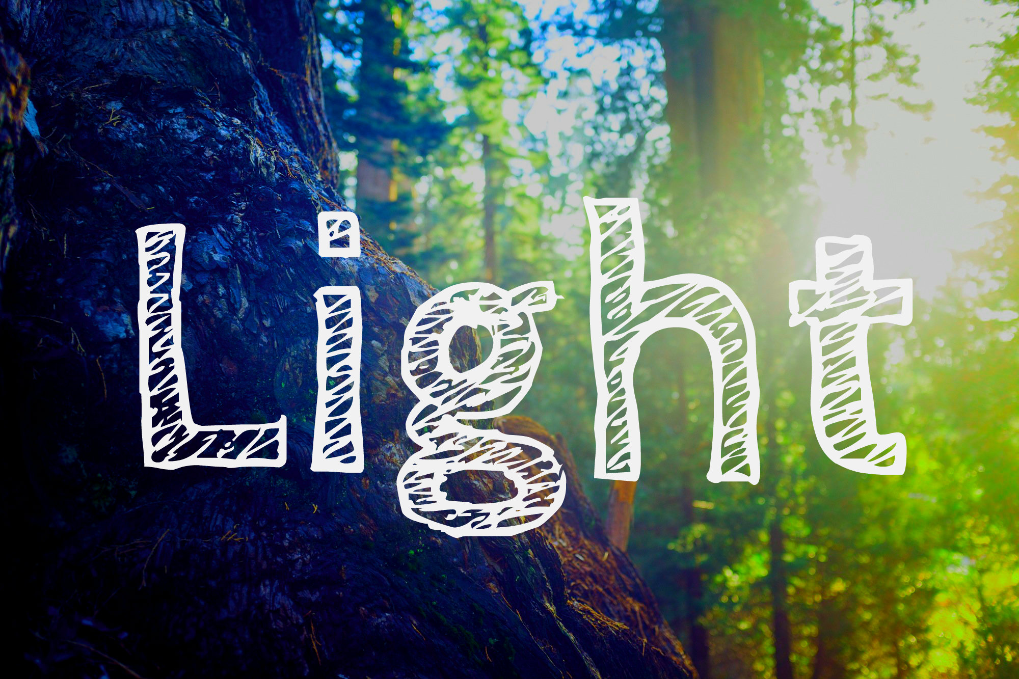 Light
